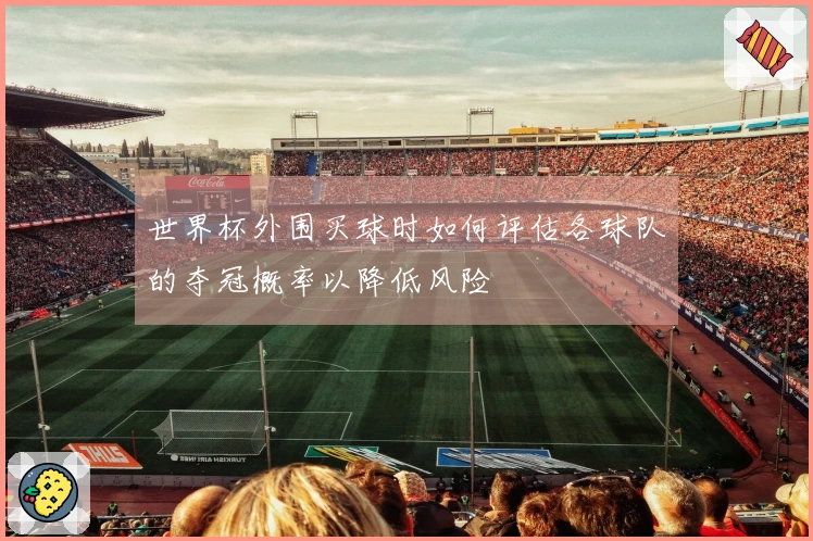 世界杯外围买球时如何评估各球队的夺冠概率以降低风险