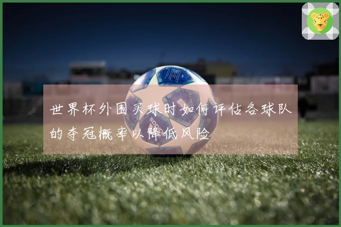世界杯外围买球时如何评估各球队的夺冠概率以降低风险