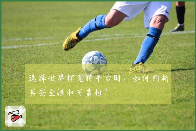 选择世界杯竞猜平台时，如何判断其安全性和可靠性？