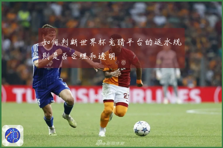 如何判断世界杯竞猜平台的返水规则是否合理和透明