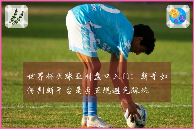 世界杯买球亚洲盘口入门：新手如何判断平台是否正规避免踩坑