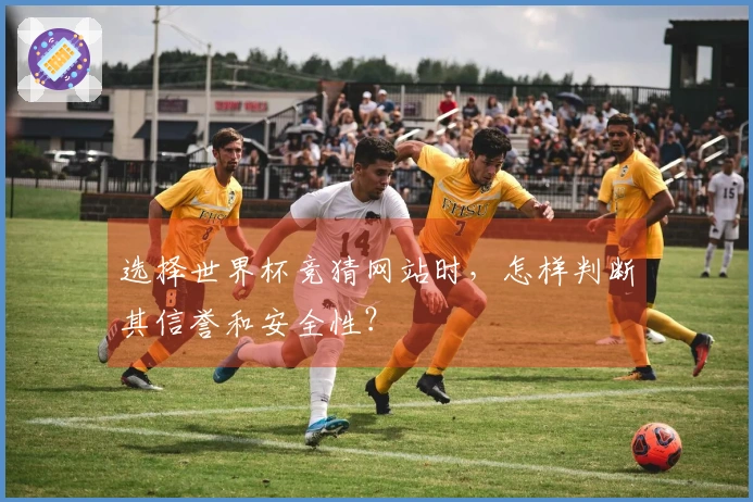 选择世界杯竞猜网站时，怎样判断其信誉和安全性？