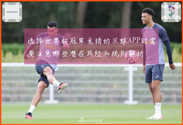 选择世界杯冠军竞猜的买球APP时需要注意哪些潜在风险和规则解析