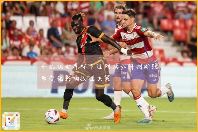 手机端世界杯下注网站如何判断赔率变化影响投注决策