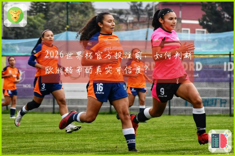 2026世界杯官方投注前，如何判断欧洲赔率的真实可信度？