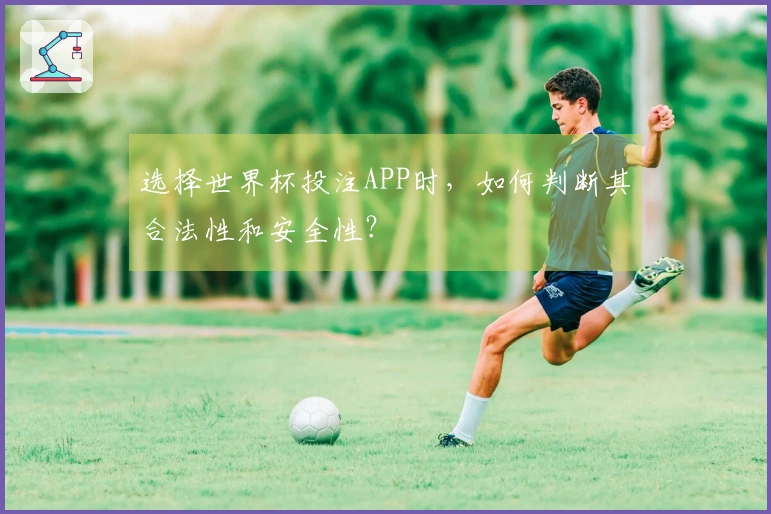选择世界杯投注APP时，如何判断其合法性和安全性？
