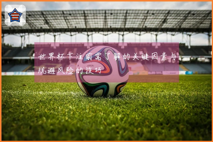 世界杯下注前需了解的关键因素与规避风险的技巧