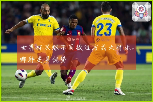 世界杯买球不同投注方式大对比，哪种更具优势