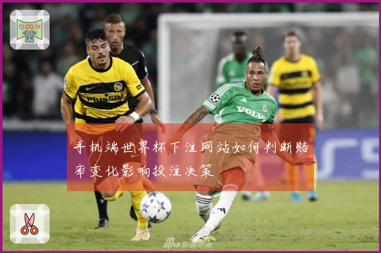 手机端世界杯下注网站如何判断赔率变化影响投注决策