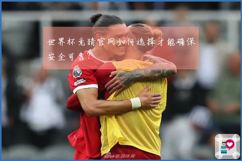 世界杯竞猜官网如何选择才能确保安全可靠？