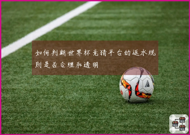 如何判断世界杯竞猜平台的返水规则是否合理和透明