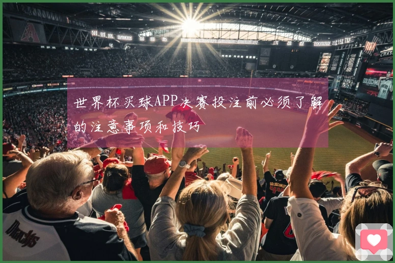 世界杯买球APP决赛投注前必须了解的注意事项和技巧