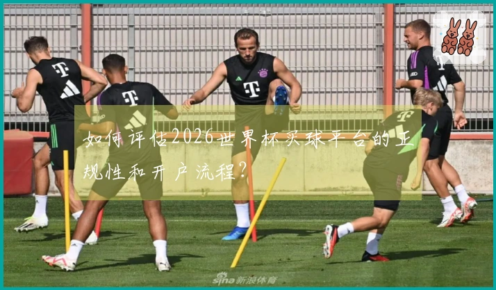 如何评估2026世界杯买球平台的正规性和开户流程？