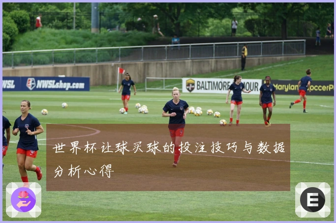世界杯让球买球的投注技巧与数据分析心得
