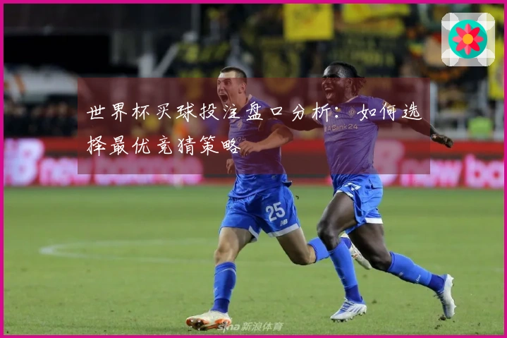 世界杯买球投注盘口分析：如何选择最优竞猜策略