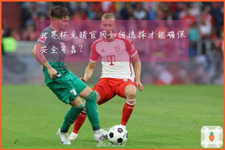 世界杯竞猜官网如何选择才能确保安全可靠？