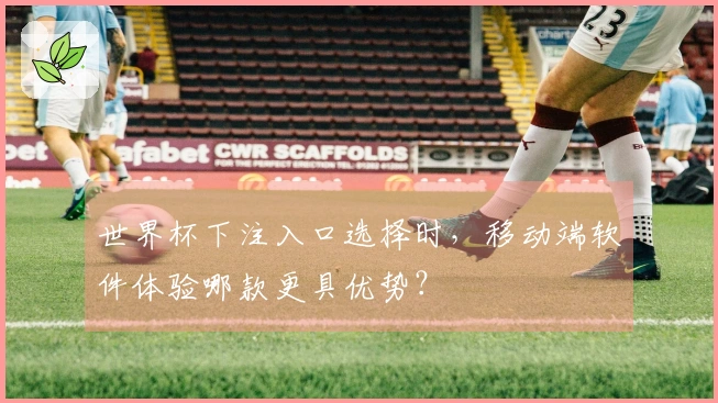 世界杯下注入口选择时，移动端软件体验哪款更具优势？