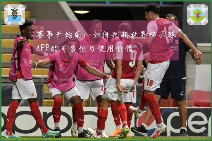 赛事开始前，如何判断世界杯买球APP的可靠性与使用价值