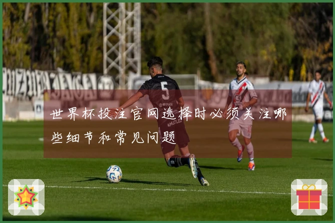 世界杯投注官网选择时必须关注哪些细节和常见问题