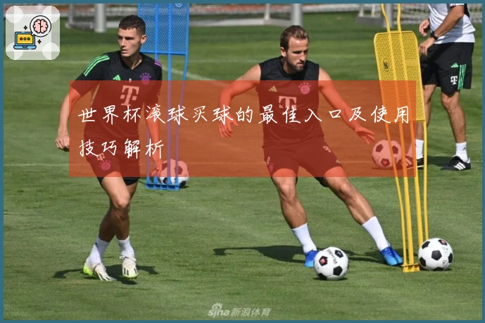 世界杯滚球买球的最佳入口及使用技巧解析