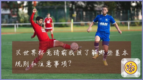 买世界杯竞猜前我该了解哪些基本规则和注意事项？