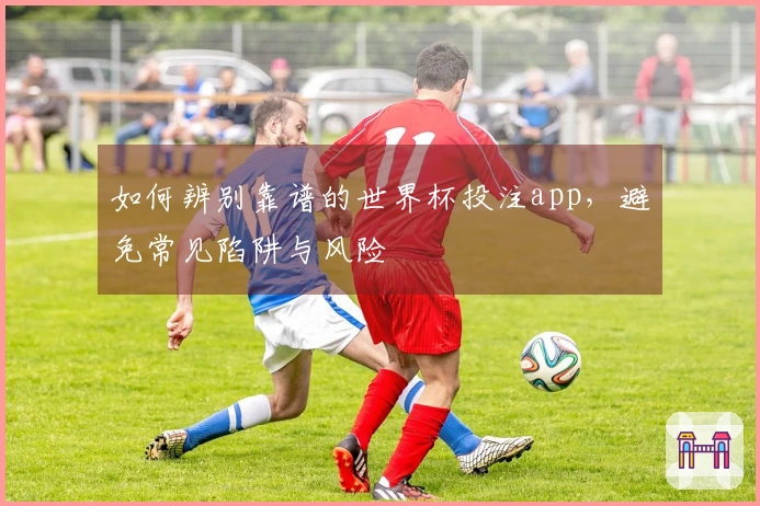 如何辨别靠谱的世界杯投注app，避免常见陷阱与风险