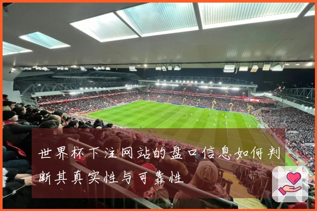 世界杯下注网站的盘口信息如何判断其真实性与可靠性