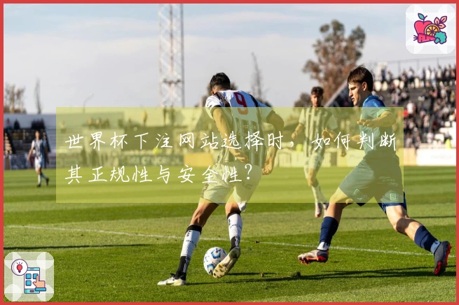 世界杯下注网站选择时，如何判断其正规性与安全性？
