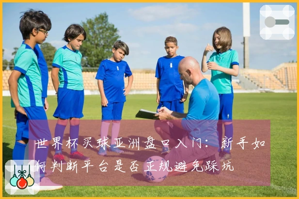 世界杯买球亚洲盘口入门：新手如何判断平台是否正规避免踩坑