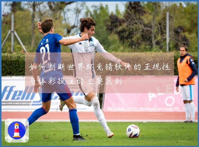 如何判断世界杯竞猜软件的正规性与体彩投注的主要区别