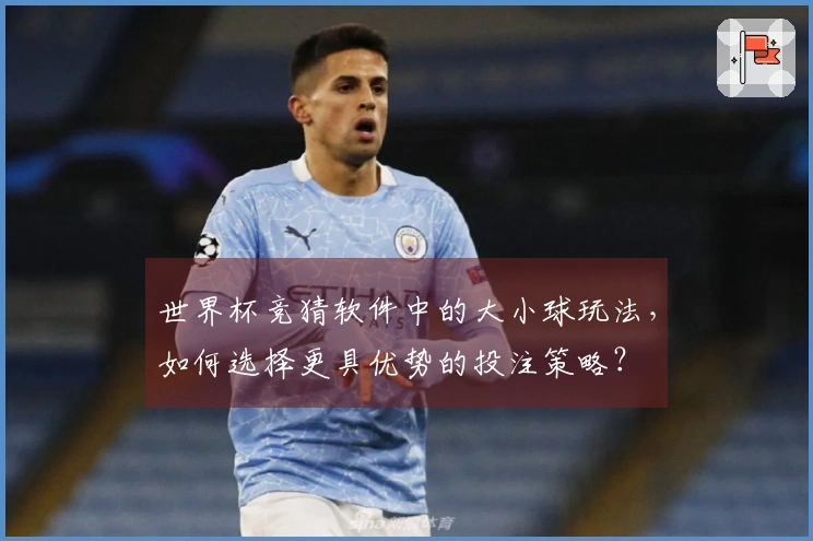 世界杯竞猜软件中的大小球玩法，如何选择更具优势的投注策略？