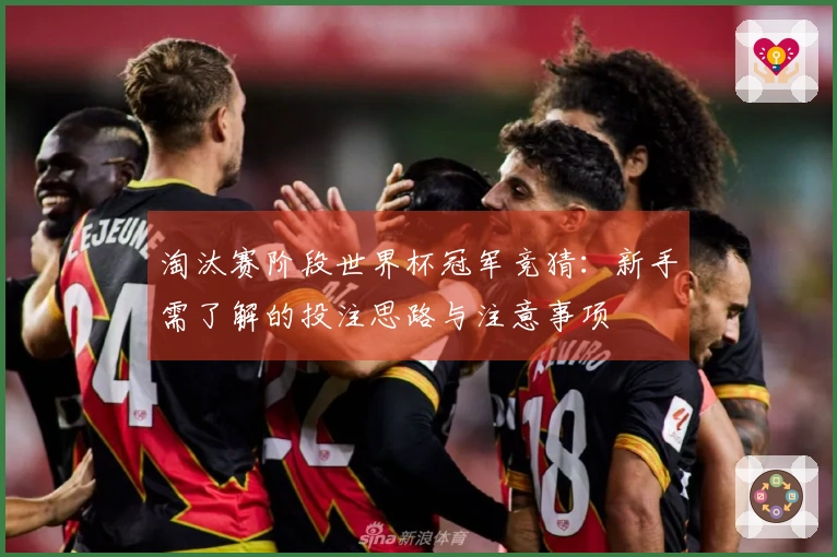 淘汰赛阶段世界杯冠军竞猜：新手需了解的投注思路与注意事项