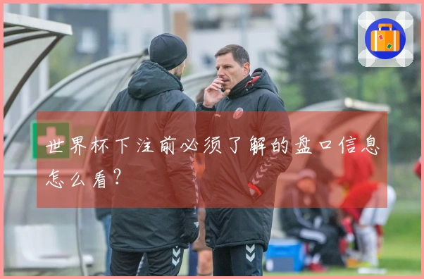 世界杯下注前必须了解的盘口信息怎么看？