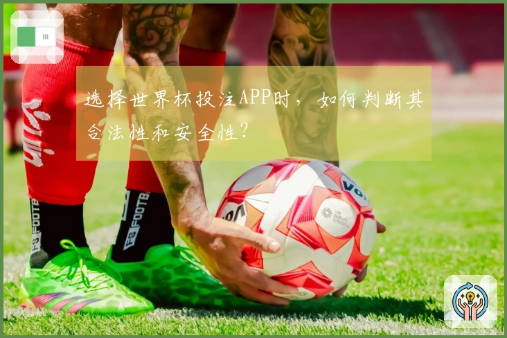 选择世界杯投注APP时，如何判断其合法性和安全性？