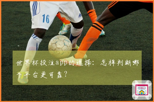 世界杯投注app的选择：怎样判断哪个平台更可靠？