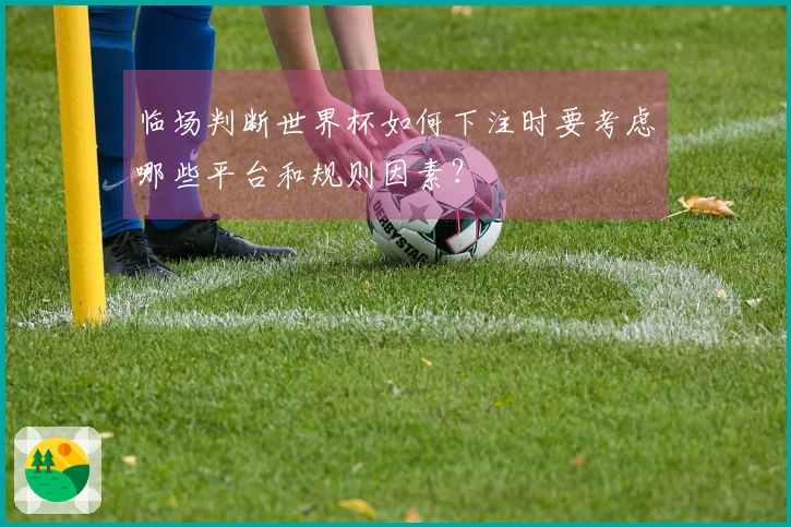 临场判断世界杯如何下注时要考虑哪些平台和规则因素？